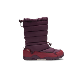 Xero Shoes Alpine Pull On Women Fig