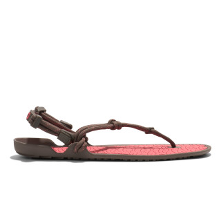 Xero shoes z-trail ev multi black men - minimalist sandal - Nonstop minimalist