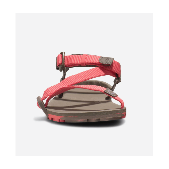 Xero Shoes Z-Trail EV Women Sunset Coral Morel - minimalist sandal - Nonstop minimalistrunners