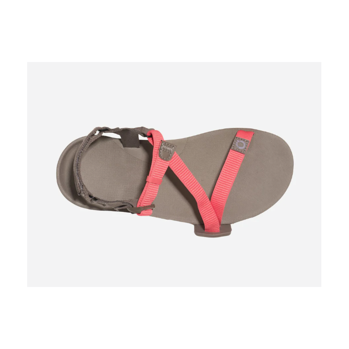 Xero Shoes Z-Trail EV Women Sunset Coral Morel - minimalist sandal - Nonstop minimalistrunners